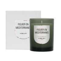 Figuier en Mediterranee