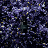Iris Pallida