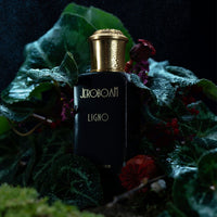 Ligno