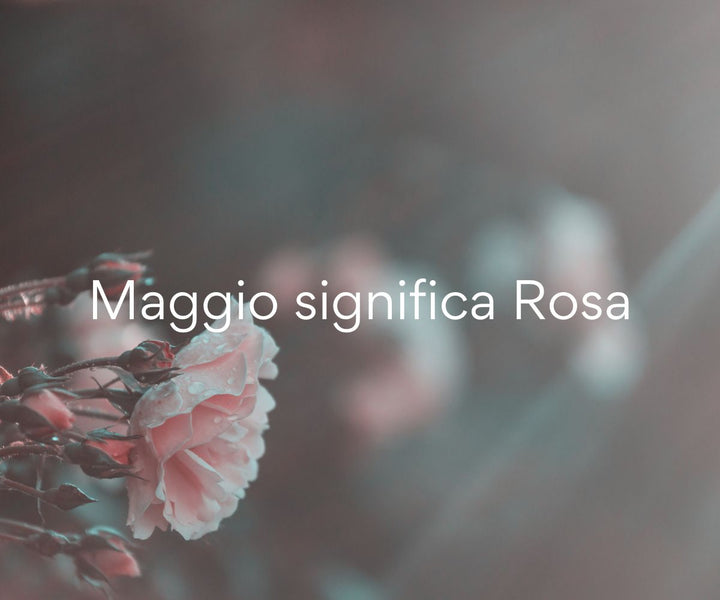 Maggio significa Rosa