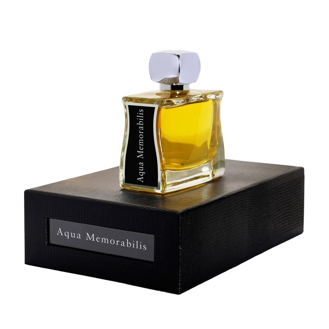 Aqua Memorabilis