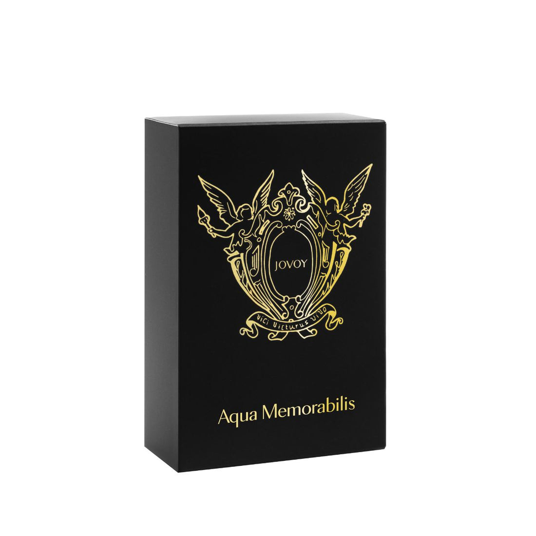 Aqua Memorabilis
