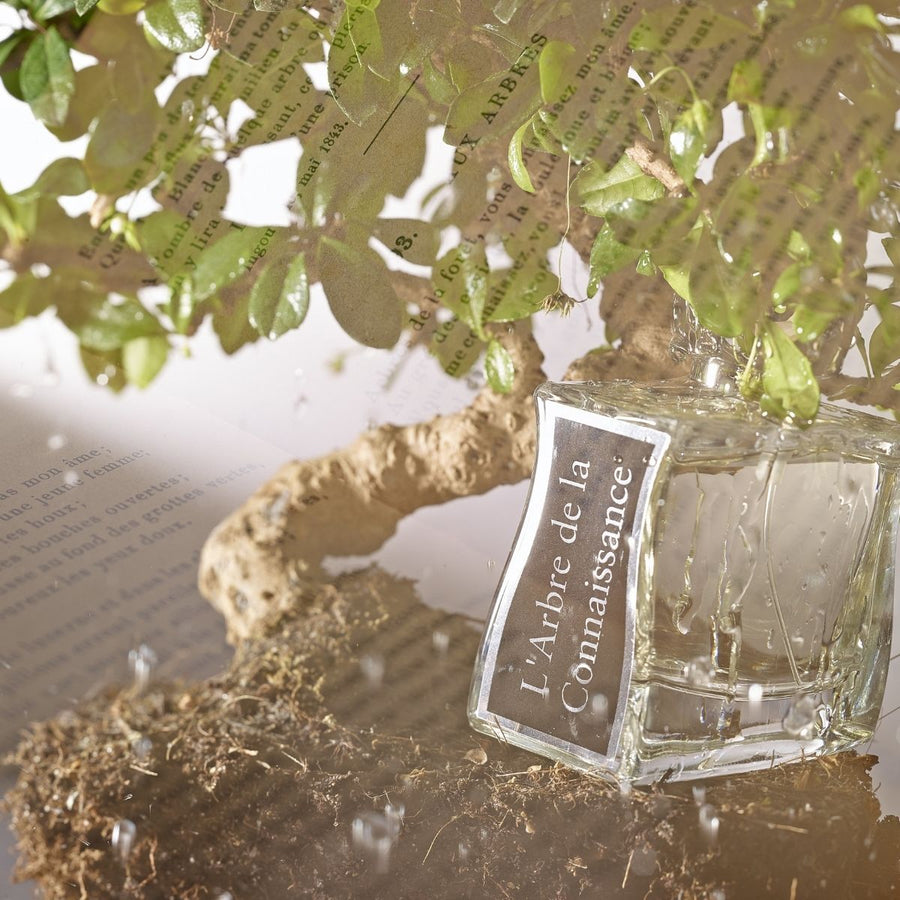 L'Arbre de la Connaissance