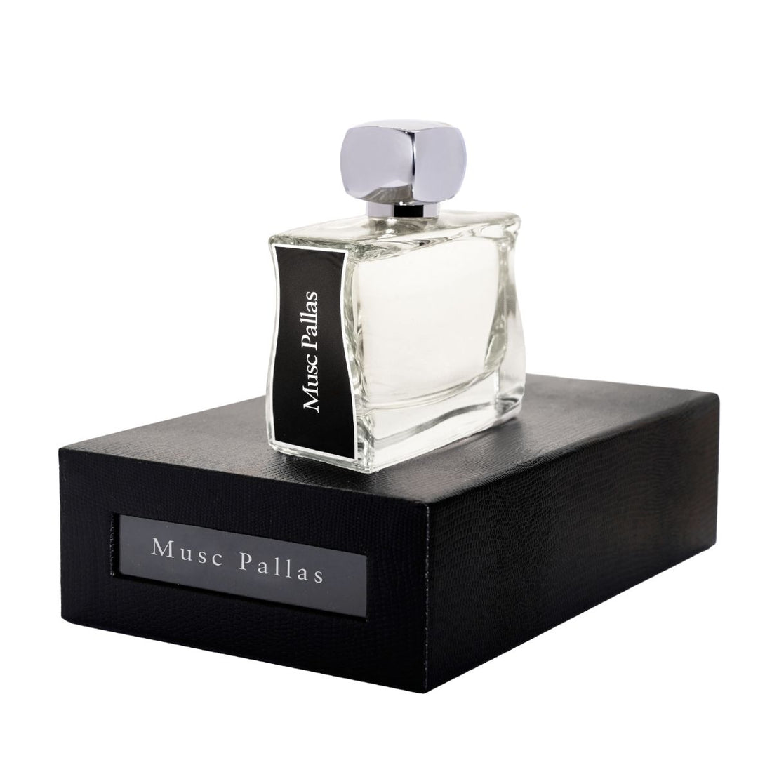 Musc Pallas