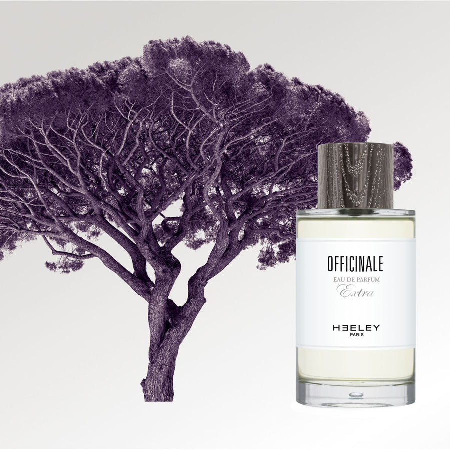 Officinale