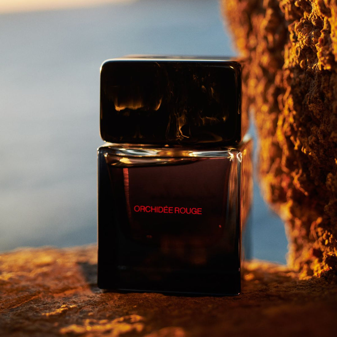 Orchidée Rouge