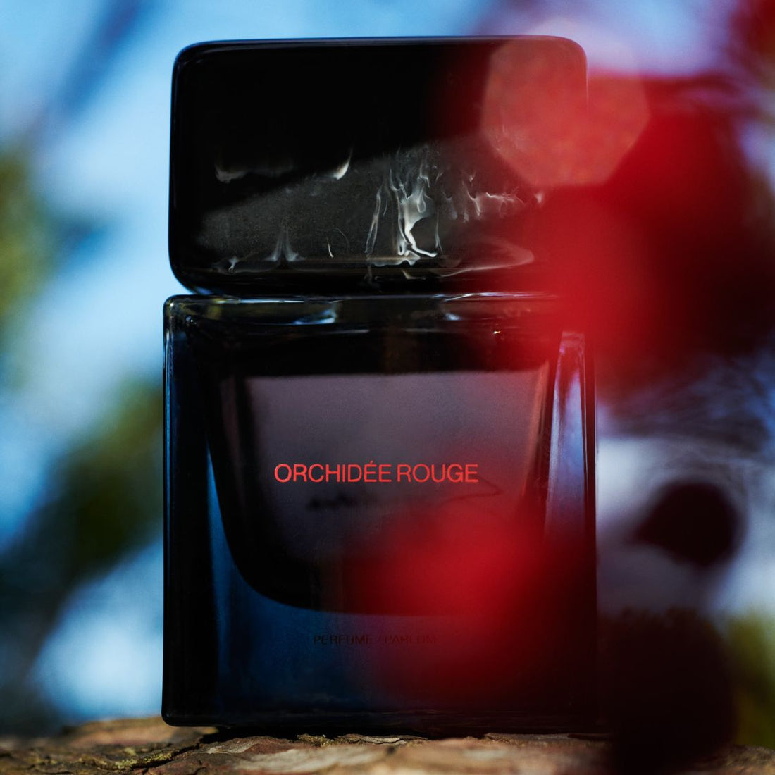 Orchidée Rouge