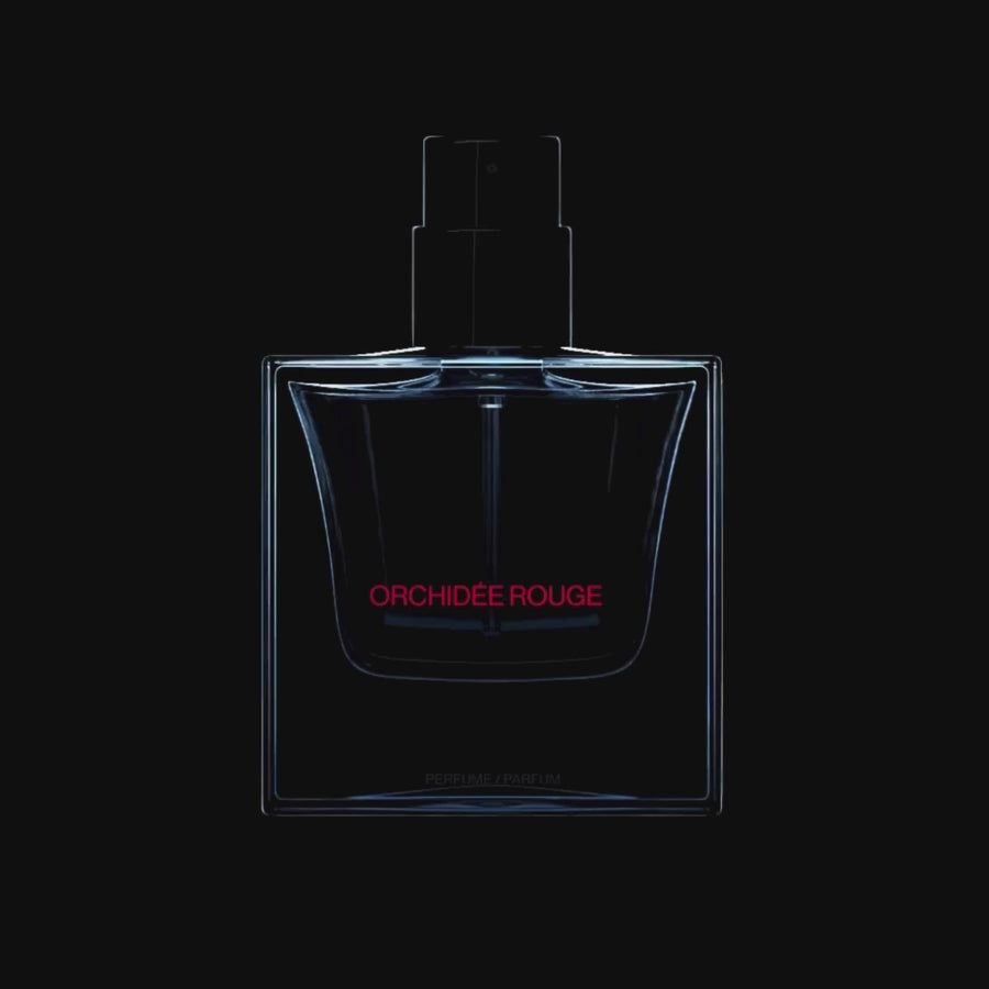 Orchidée Rouge