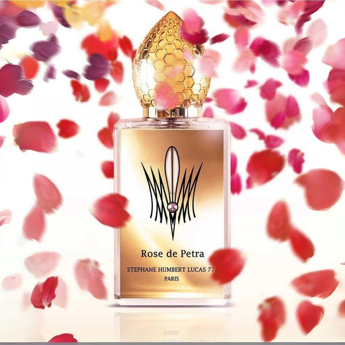 Rose de Petra