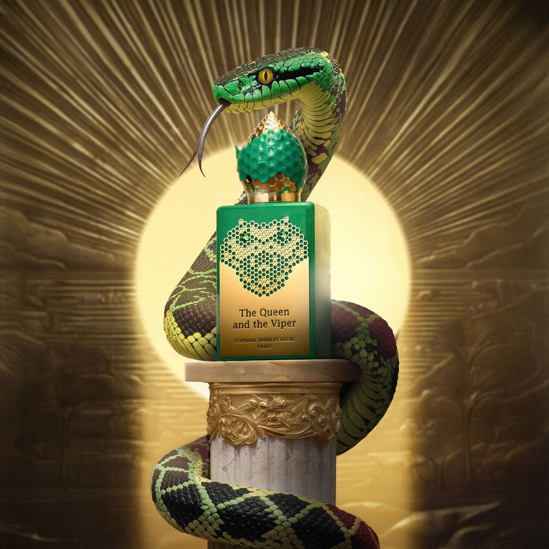 The Queen and the Viper