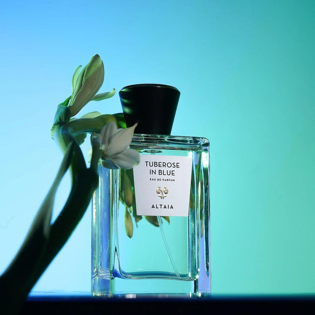 Tuberose in Blue