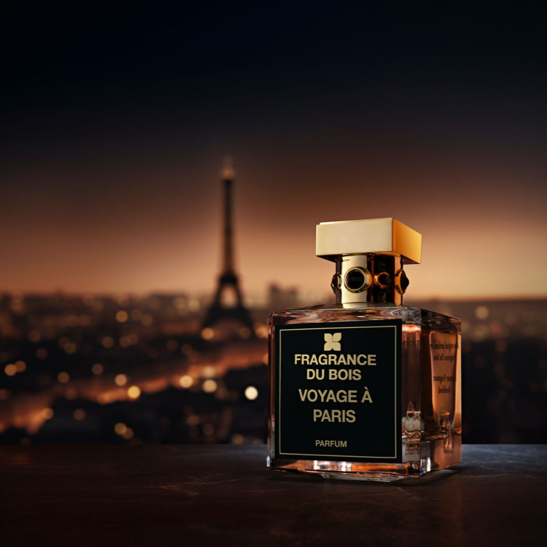 Voyage à Paris