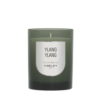 Ylang Ylang